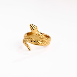 Trendy Titanium Snake Ring