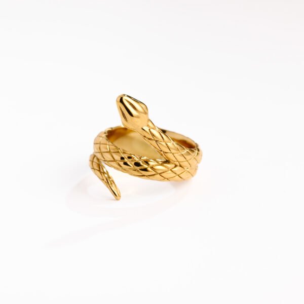Trendy Titanium Snake Ring