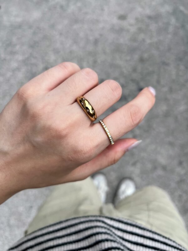 Premium Stainless Steel Niche Ring - Image 4