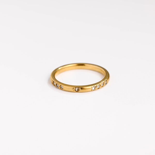 Minimalist Extremely Fine Diamond Set Titanium Ring